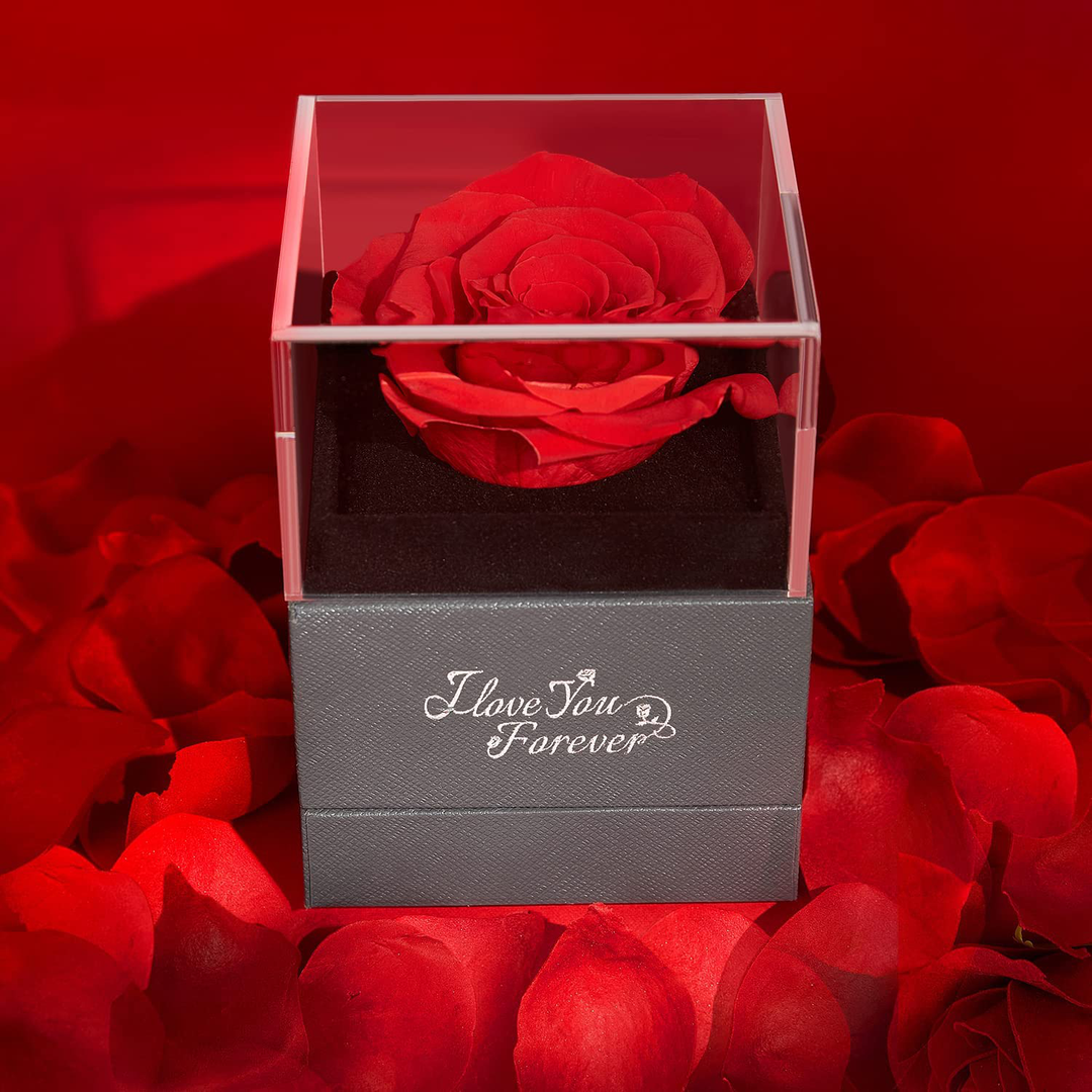 Heart-Shaped Red Rose Necklace with Gift Box